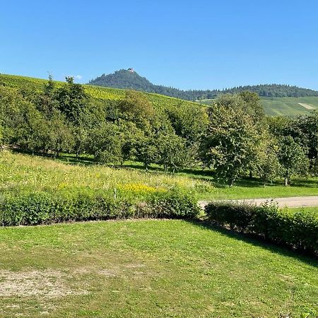 Ferienwohnung Reblandblick Baden-Baden Buitenkant foto