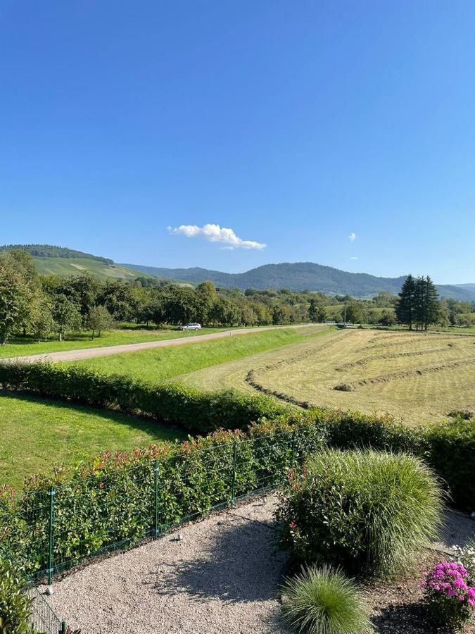 Ferienwohnung Reblandblick Baden-Baden Buitenkant foto