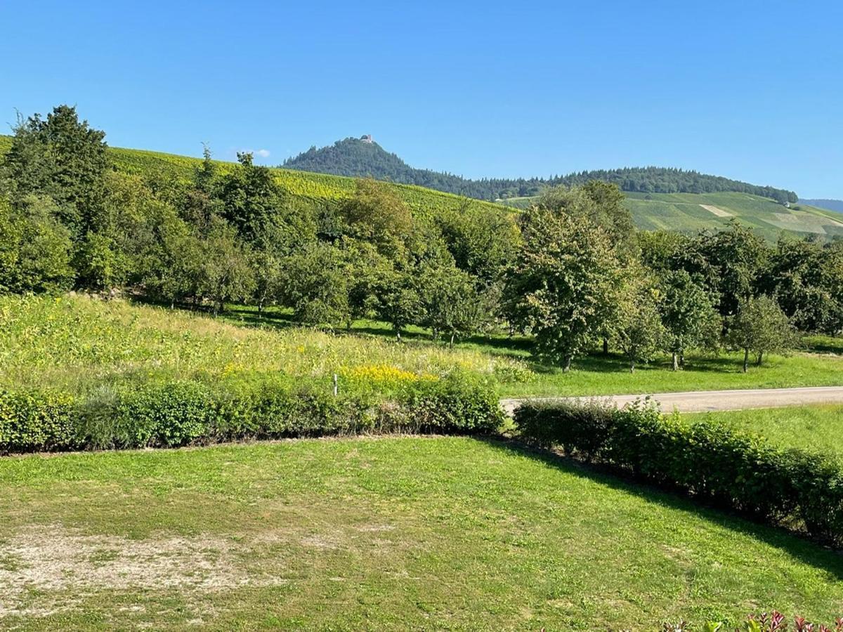 Ferienwohnung Reblandblick Baden-Baden Buitenkant foto