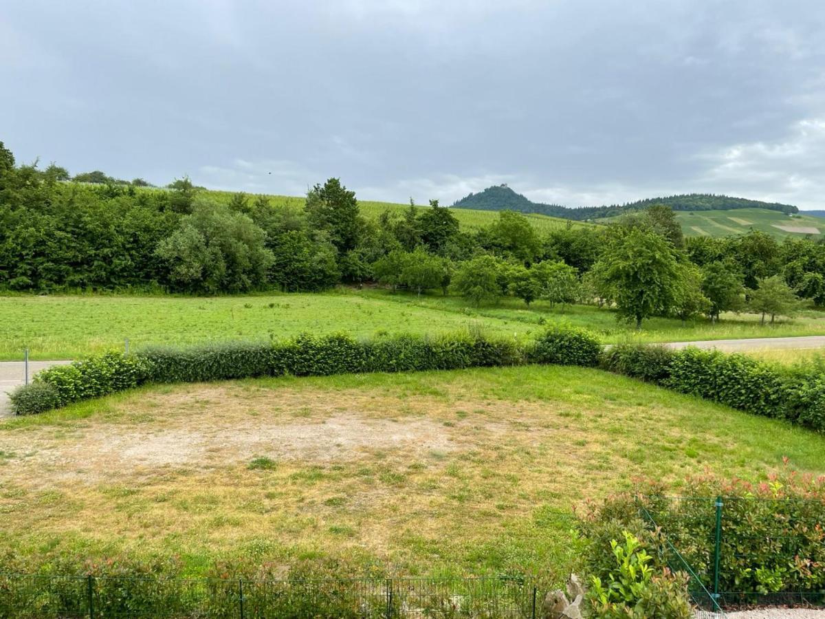Ferienwohnung Reblandblick Baden-Baden Buitenkant foto